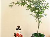 日式茶道家居
