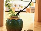 日式茶道家居