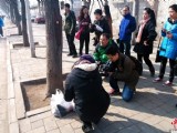 石家莊女大學(xué)生樹洞中作畫惟妙惟肖