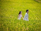 陶昕然|何建澤|婚紗照