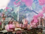 攝影師Hayden Williams雙重曝光攝影作品